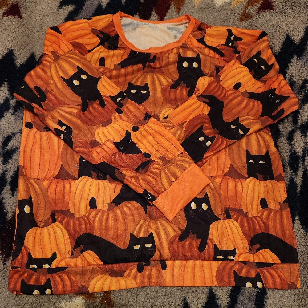 Halloween Cat and Pumpkin Sweatshirt
